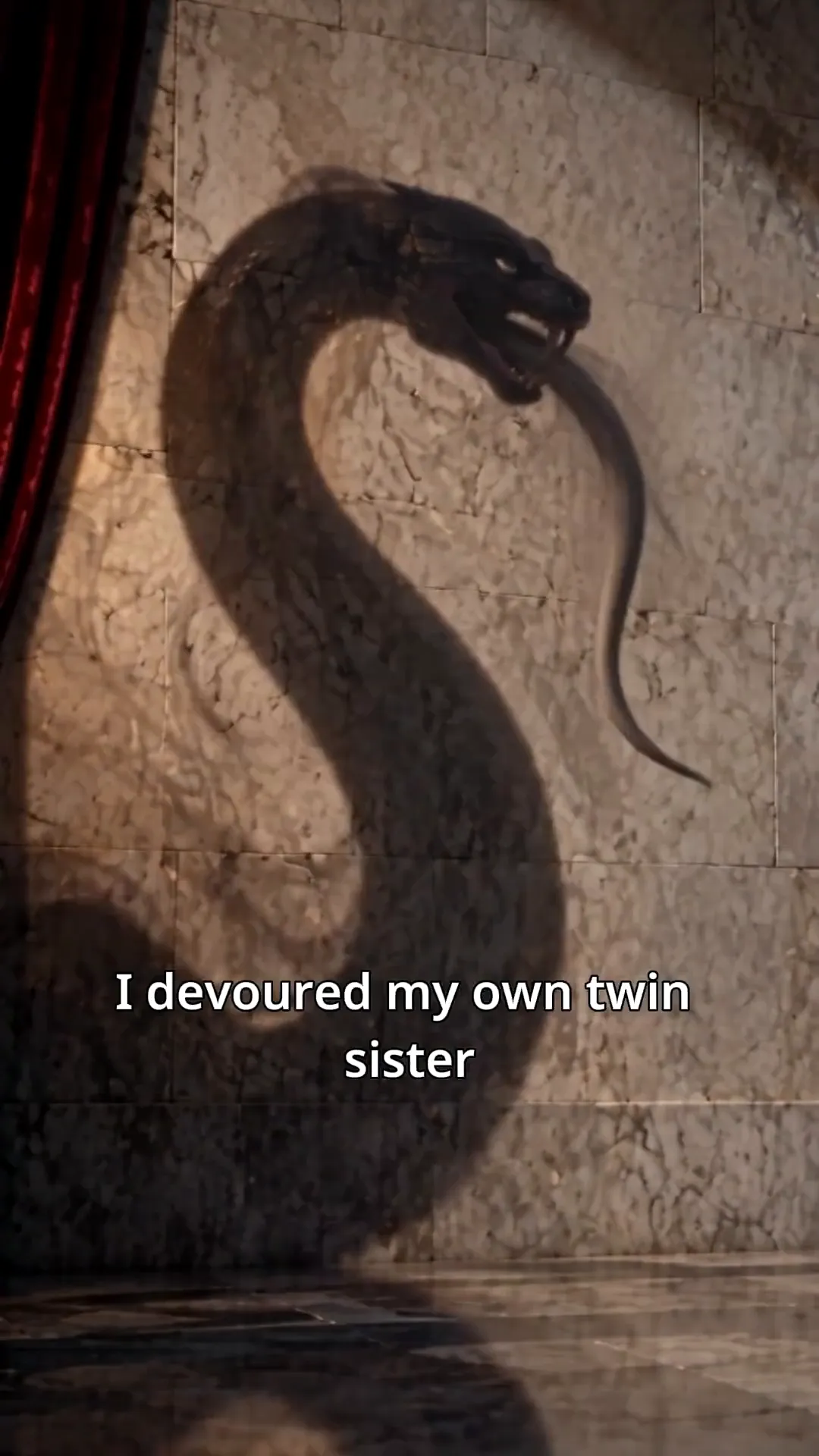 The Bride with Two Shadows - The Girl Who Ate Her Twin