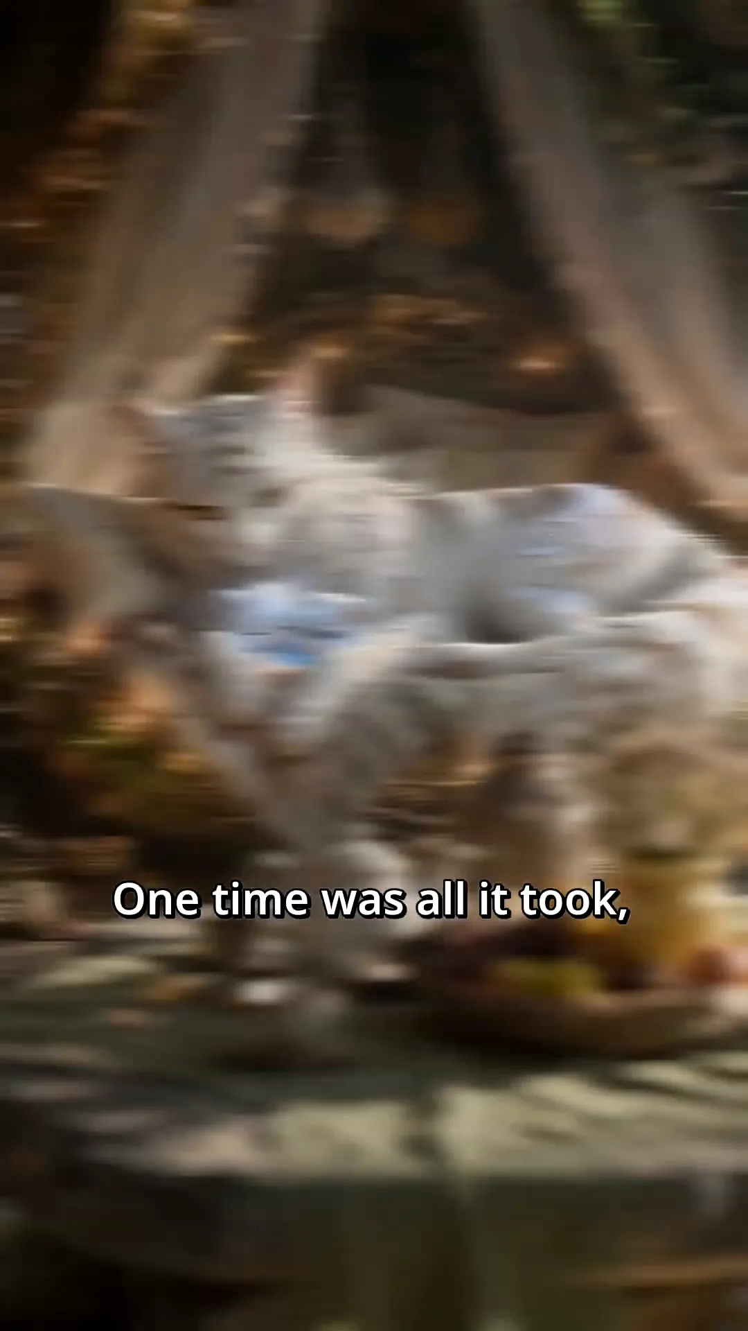 The Tiger King's Awakening - The Moment Two Mothers Remembered They Were Warriors