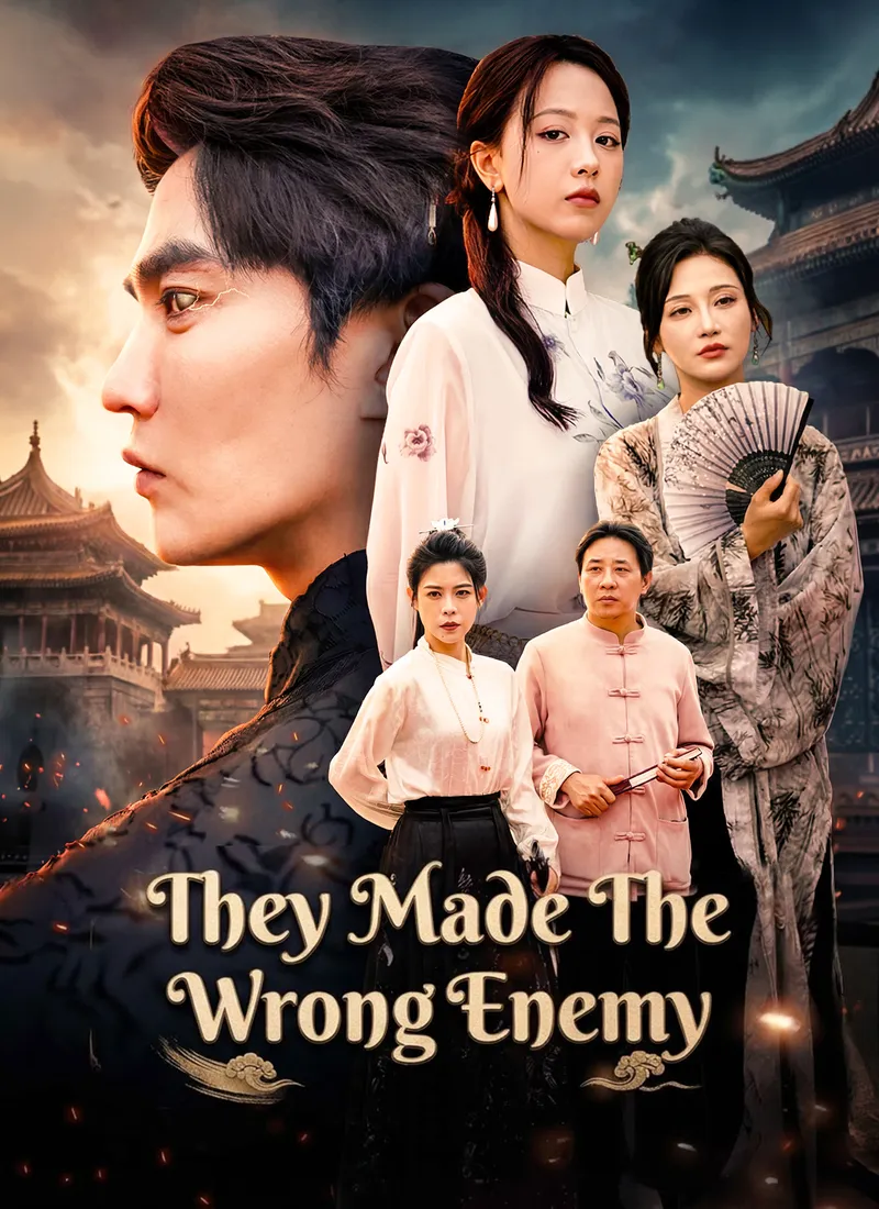 They Made the Wrong Enemy cover